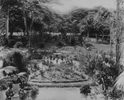 Giardino di una villa suburbana, Port of Spain, Trinidad da English Photographer